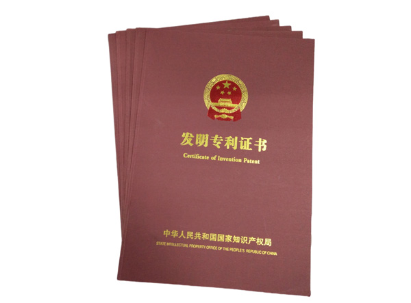 發明專利10項